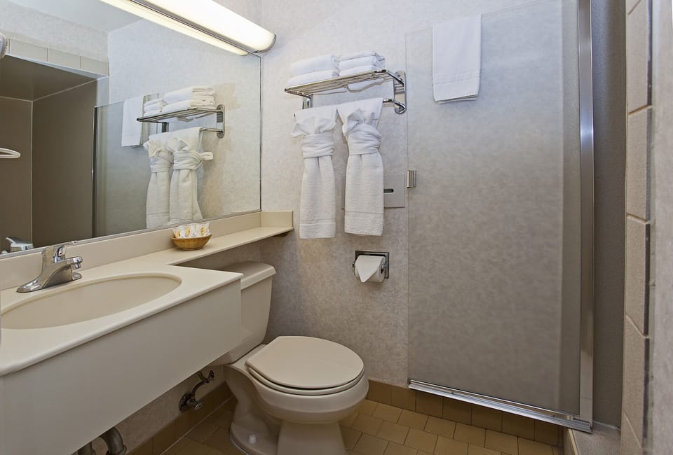 Shower, free toiletries, hair dryer, towels