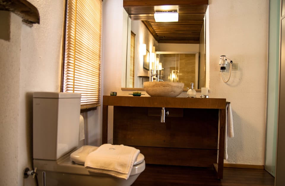 Shower, designer toiletries, hair dryer, bidet