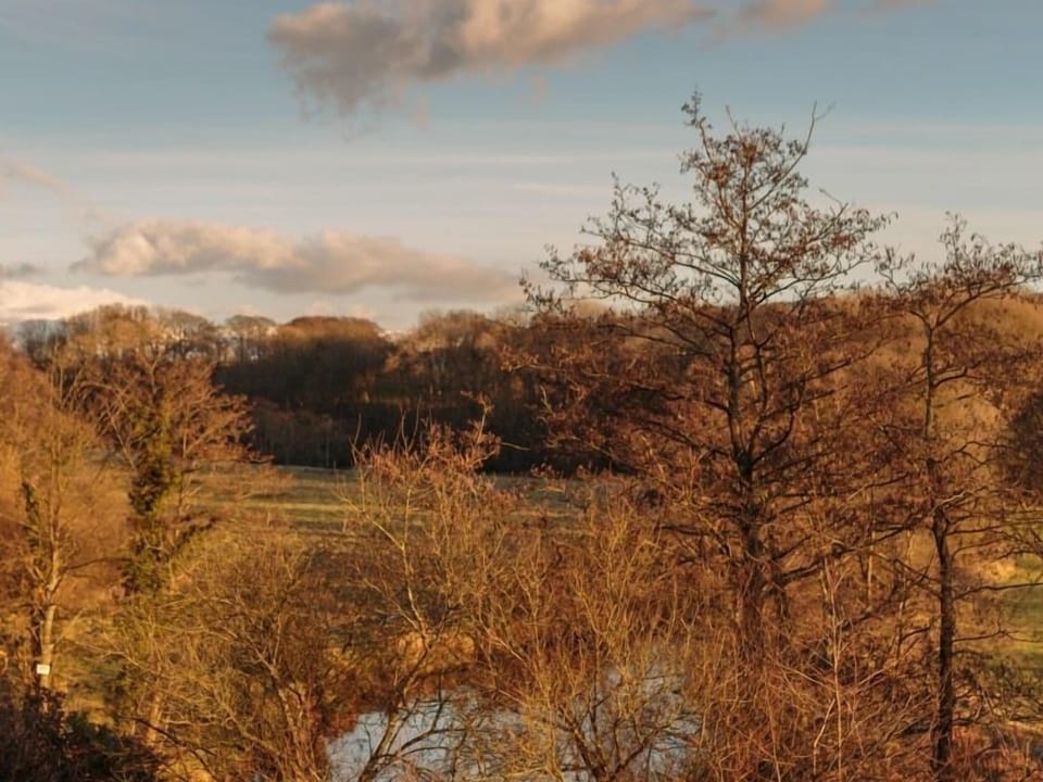 Standard Suite, Ensuite (Small)