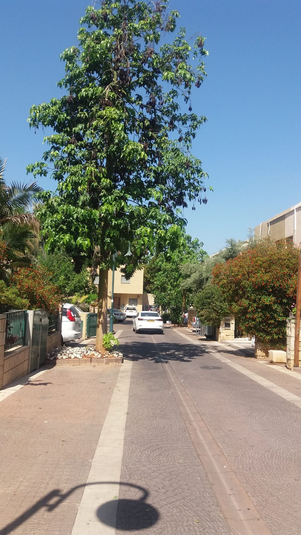 House, 3 Bedrooms | View from property