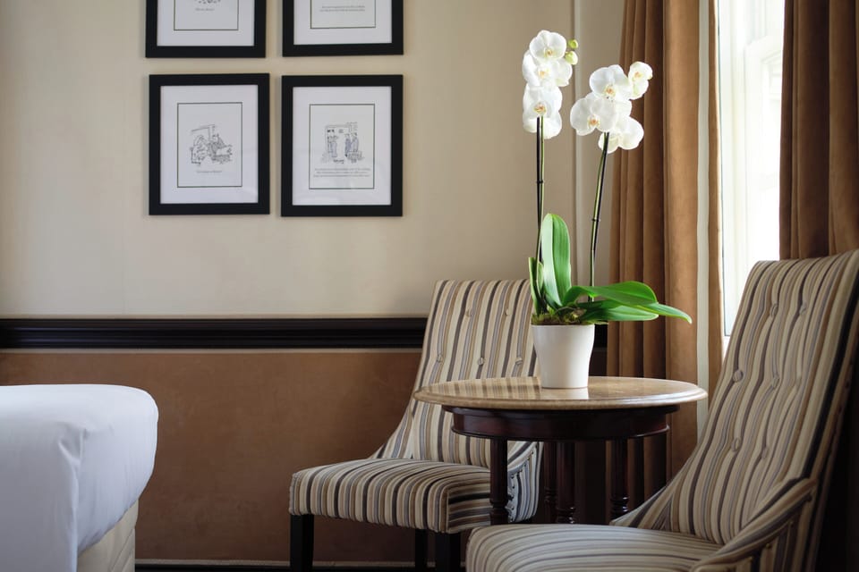 Superior Twin Room | Premium bedding, down comforters, in-room safe, individually decorated