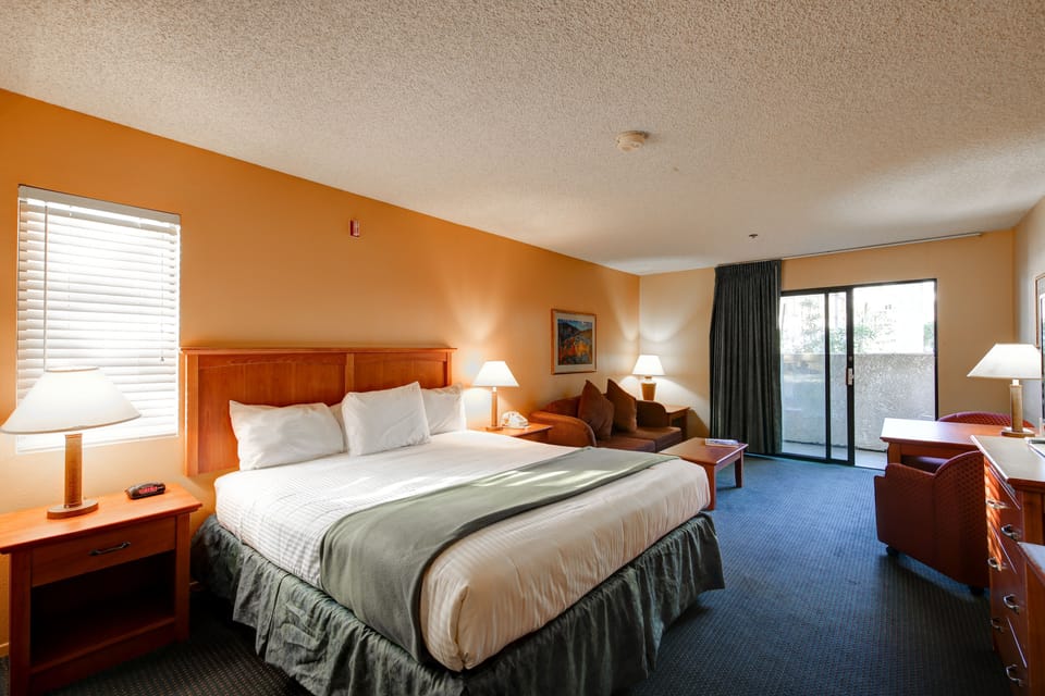 Room, 1 King Bed, Mountain View | Iron/ironing board, free WiFi, bed sheets