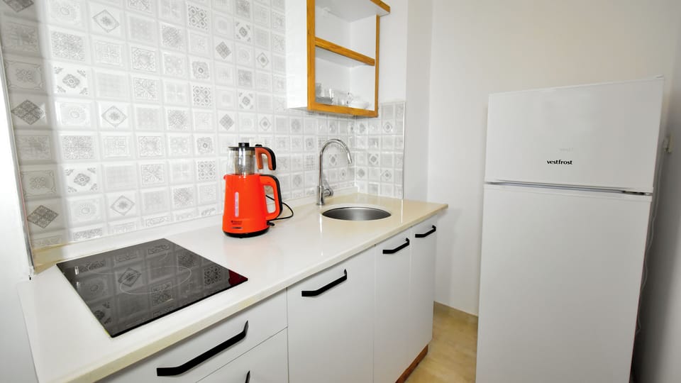 Studio, 1 Queen Bed with Sofa bed, City View | Private kitchen | Fridge, stovetop, coffee/tea maker, electric kettle