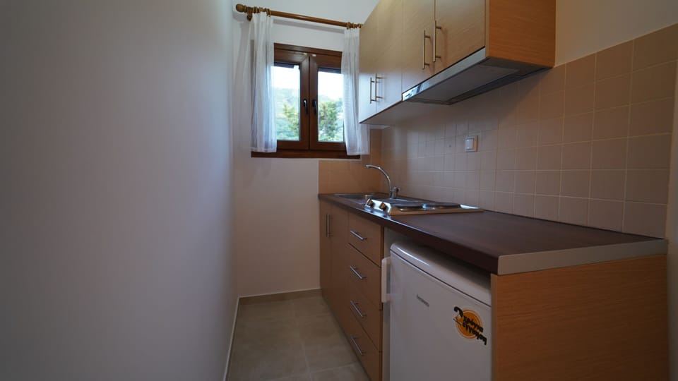 Standard Double or Twin Room | Private kitchen | Fridge, stovetop, coffee/tea maker, electric kettle