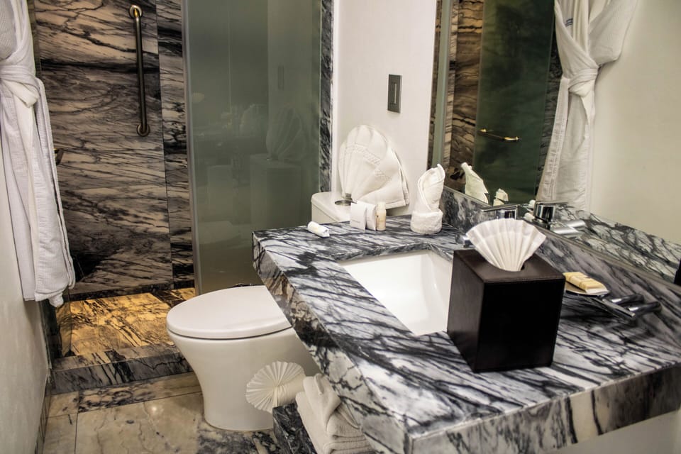 Single Room | Bathroom | Shower, hair dryer, towels