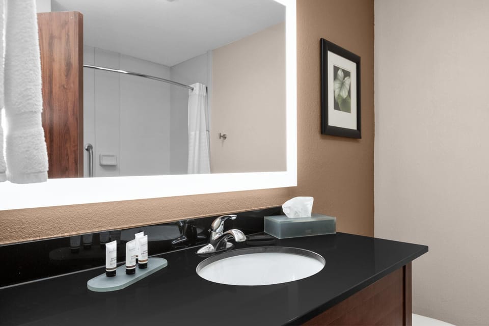 Combined shower/tub, free toiletries, hair dryer, towels