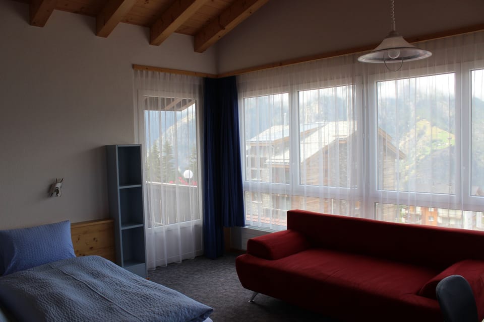 Basic Double Room | Down comforters, minibar, in-room safe, desk