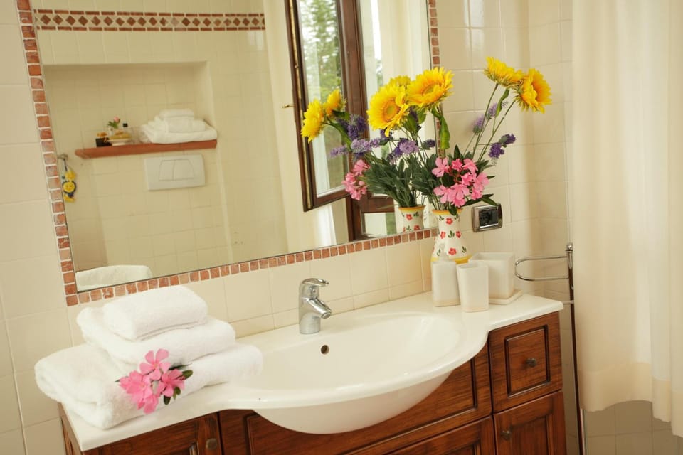Shower, free toiletries, hair dryer, towels