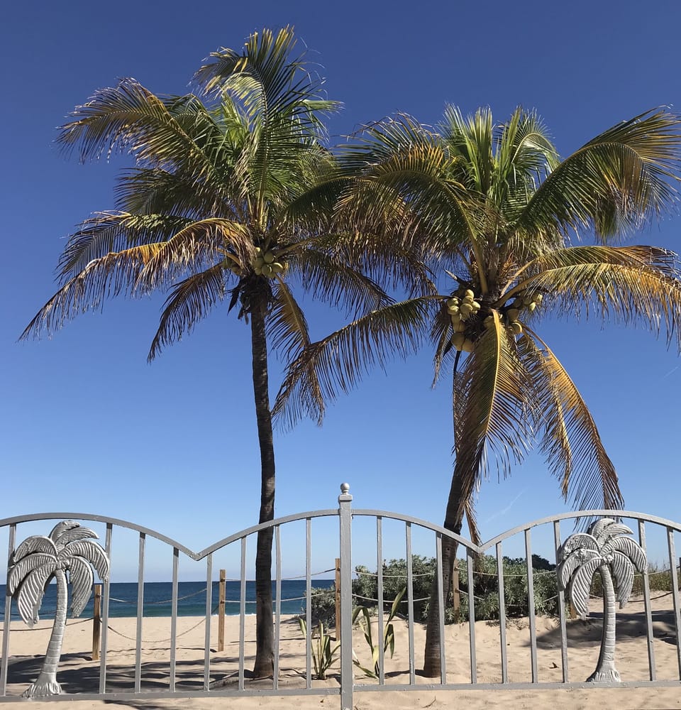 Standard Studio, Ocean View, Oceanfront | Iron/ironing board, free WiFi, wheelchair access