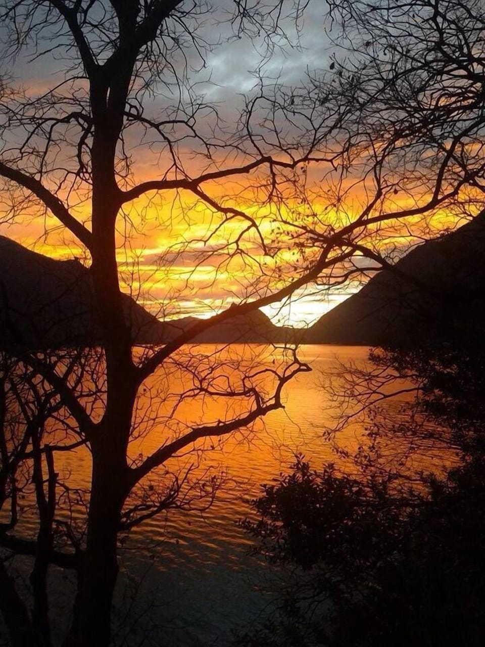 Lake view
