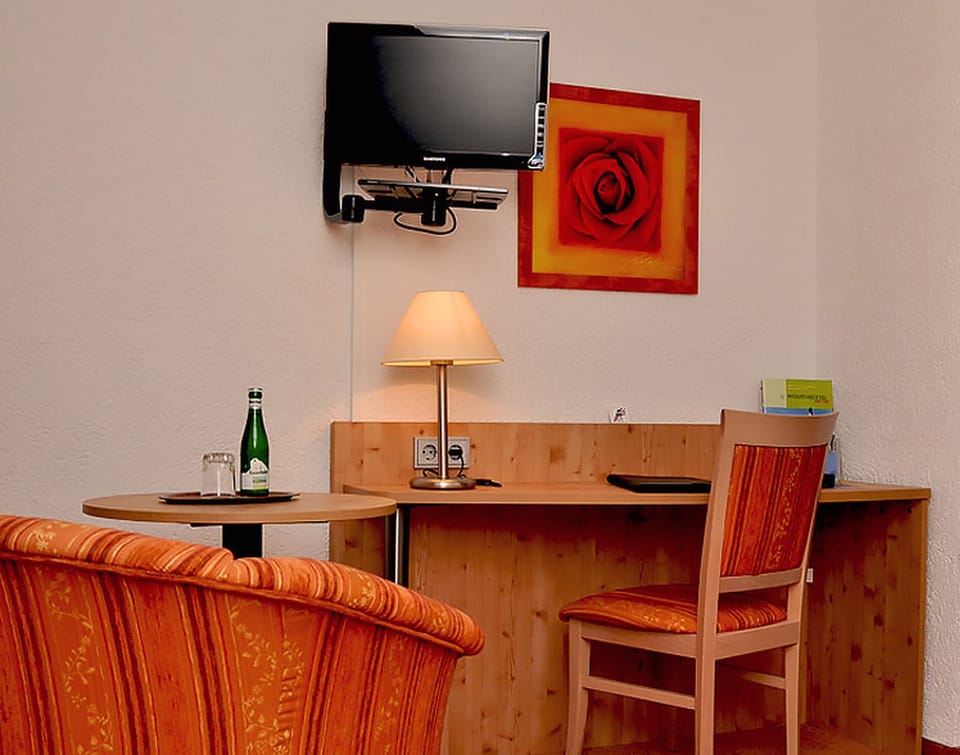 Single Room | Living area | Flat-screen TV