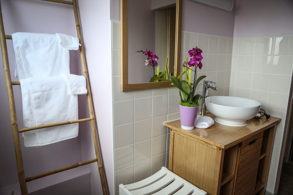 Double Room (3) | Bathroom amenities | Shower, free toiletries, hair dryer, towels