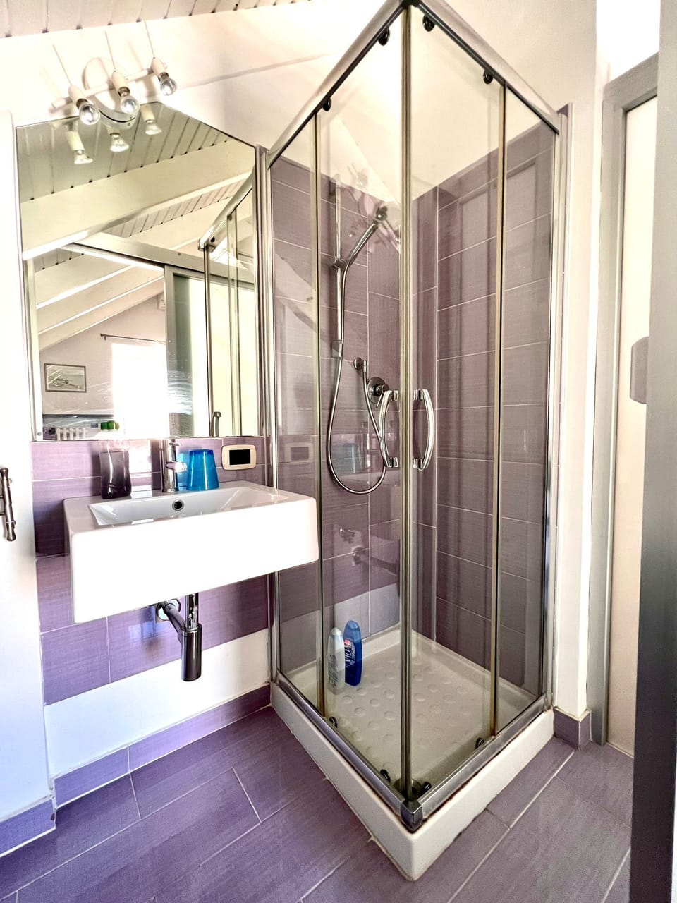 Shower, free toiletries, hair dryer, towels