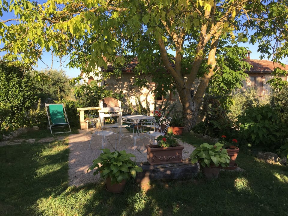 BBQ/picnic area
