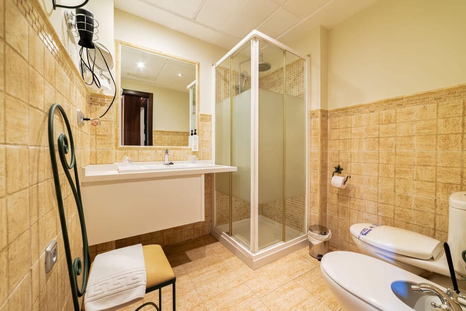 Shower, free toiletries, hair dryer, bidet