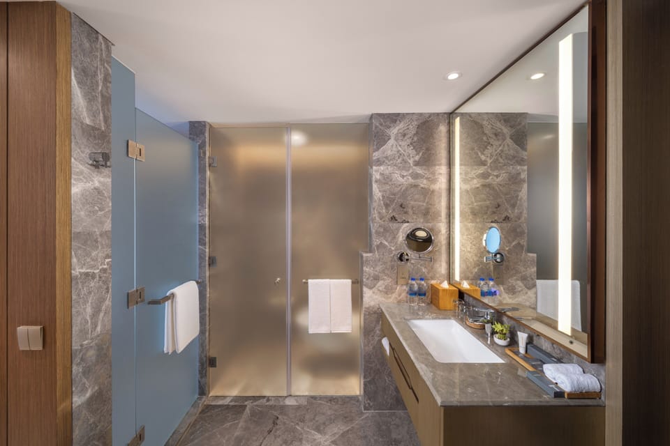 Junior Suite | Bathroom | Shower, free toiletries, hair dryer, bathrobes