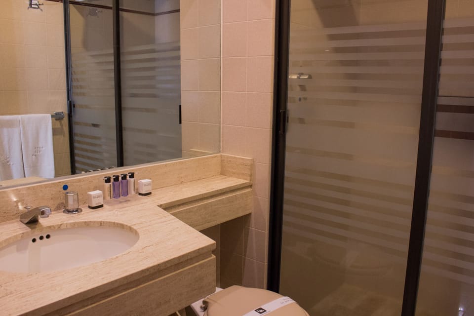 Shower, hair dryer, towels