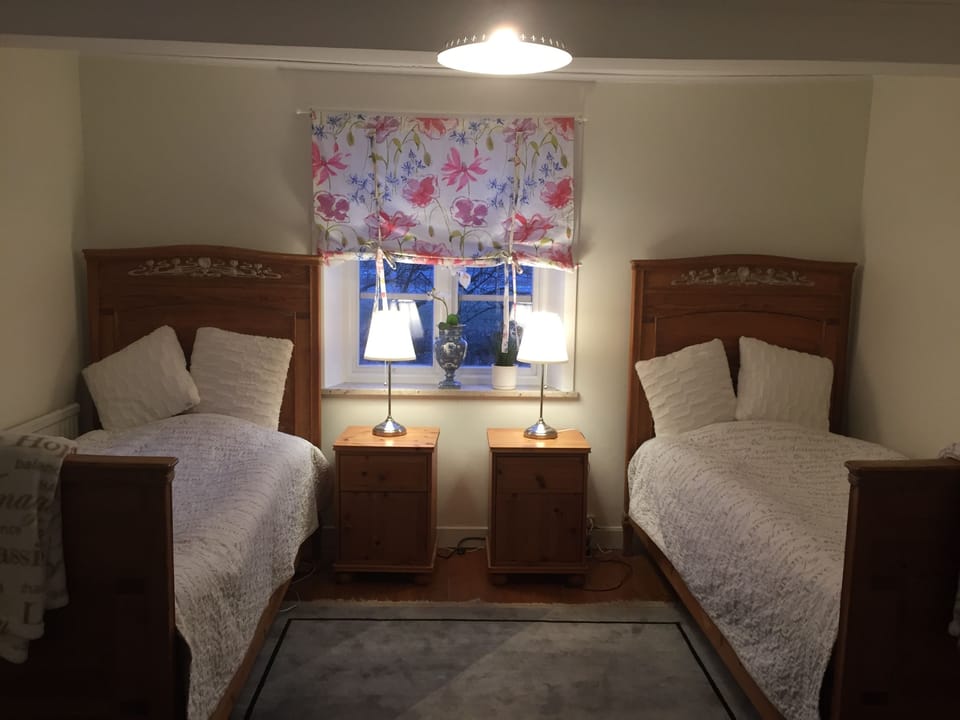 Basic Double Room | Iron/ironing board, rollaway beds, free WiFi, bed sheets