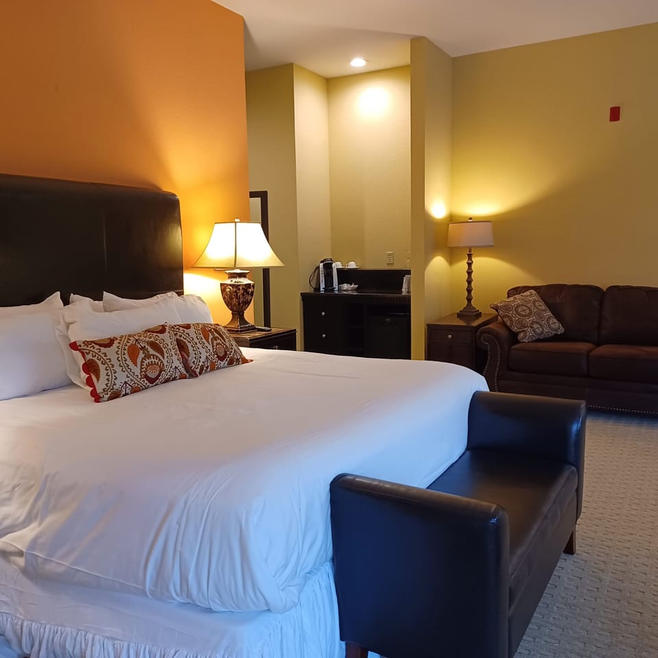 Executive Room, 1 King Bed with Sofa bed, City View | Down comforters, in-room safe, desk, laptop workspace