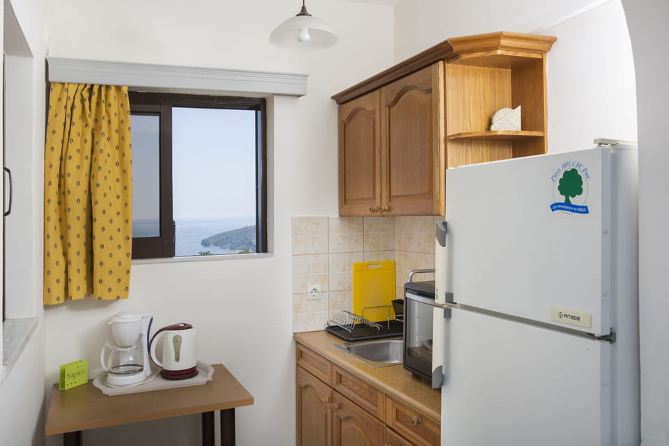 Mini-fridge, stovetop, electric kettle, toaster