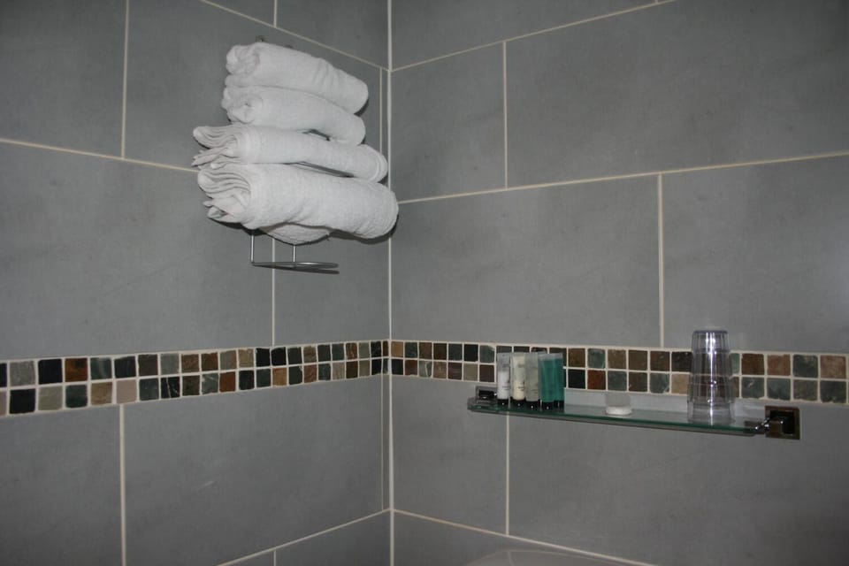 Shower, free toiletries, hair dryer, towels