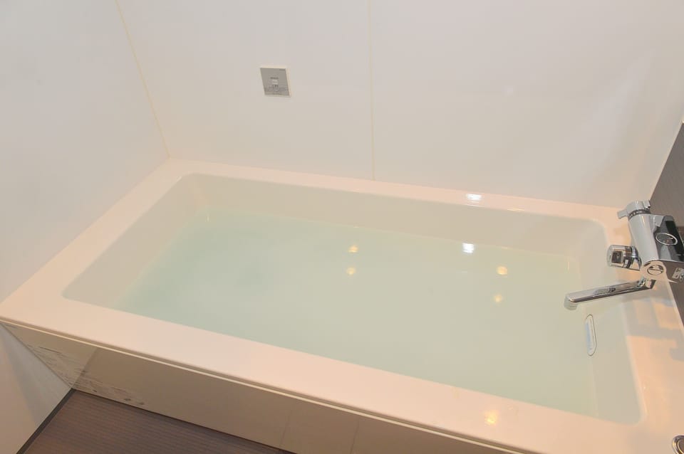 Separate tub and shower, jetted tub, free toiletries, hair dryer