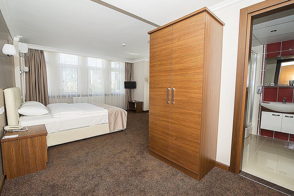 Minibar, desk, cribs (free), WiFi (free)