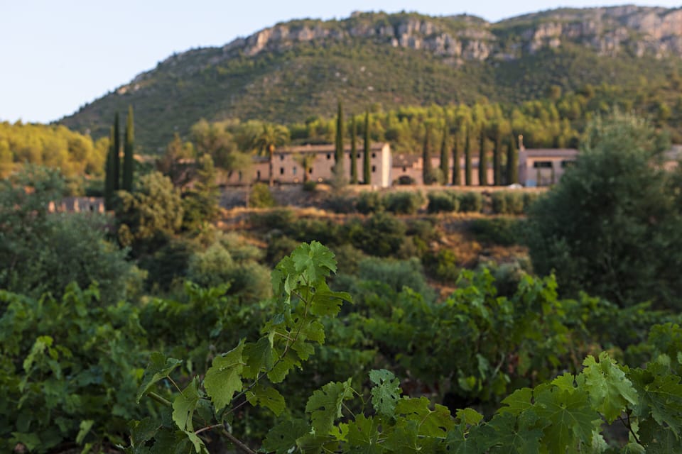 Terra Dominicata - Hotel & Winery Hotel in Catalonia