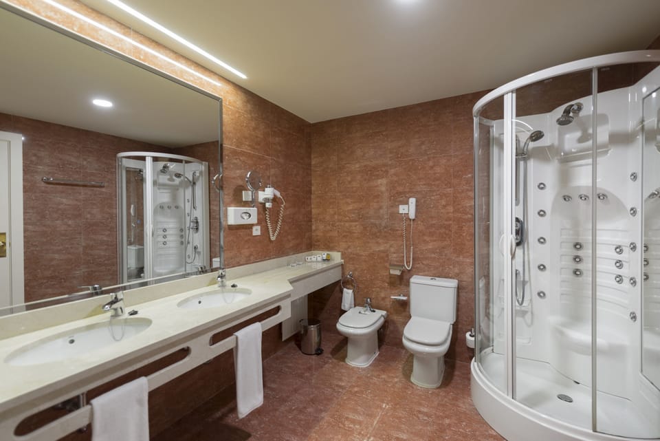 Hair dryer, bidet, towels