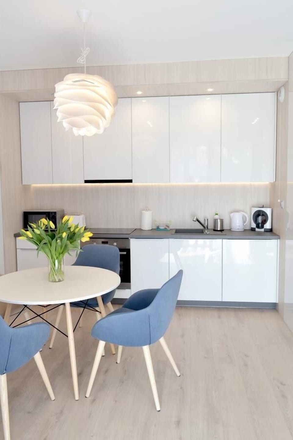 Deluxe Studio Suite, 1 Bedroom, Non Smoking, Kitchenette (Woda) | Private kitchen | Fridge, microwave, stovetop, dishwasher