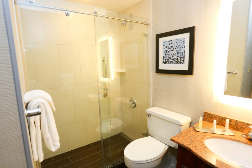 Combined shower/tub, free toiletries, hair dryer, towels