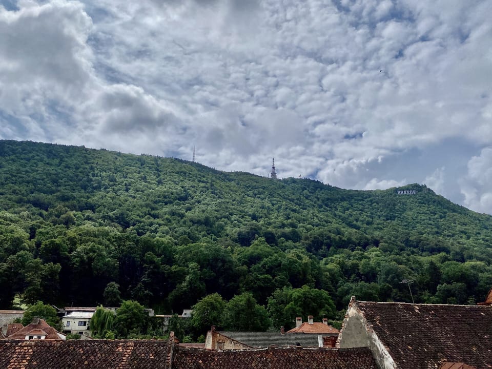 Mountain view