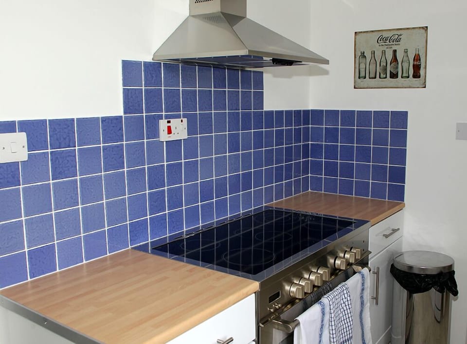 Full-size fridge, microwave, oven, stovetop