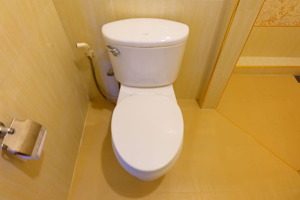 Shower, free toiletries, towels