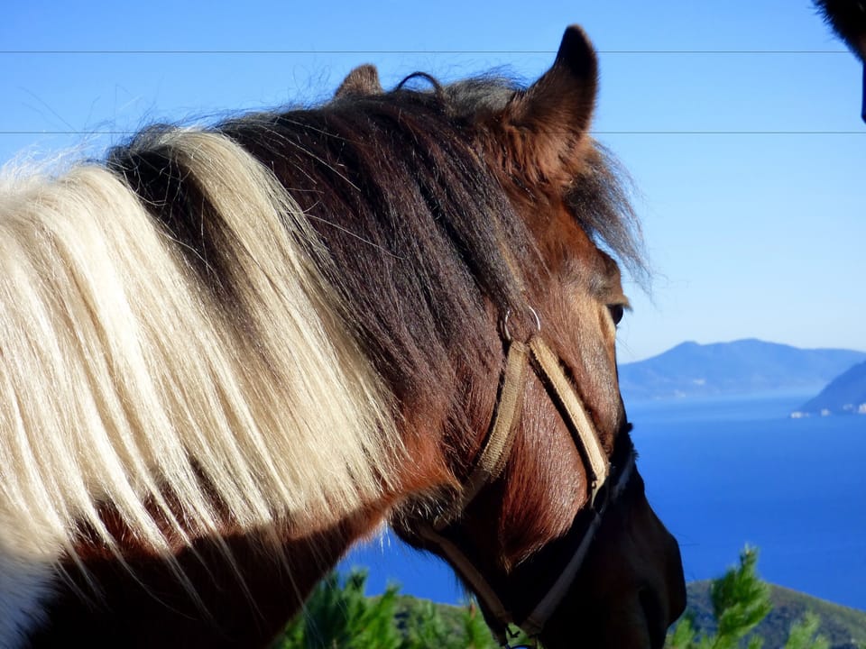 Arxontiko Mytilineou Skretaion Bed and Breakfast in Magnesia Prefecture, Greece