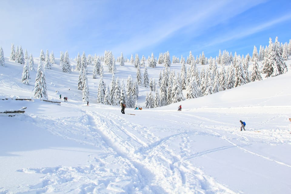 Snowshoeing