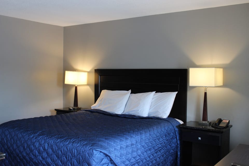 Standard Room, 1 King Bed, Non Smoking | Desk, free WiFi