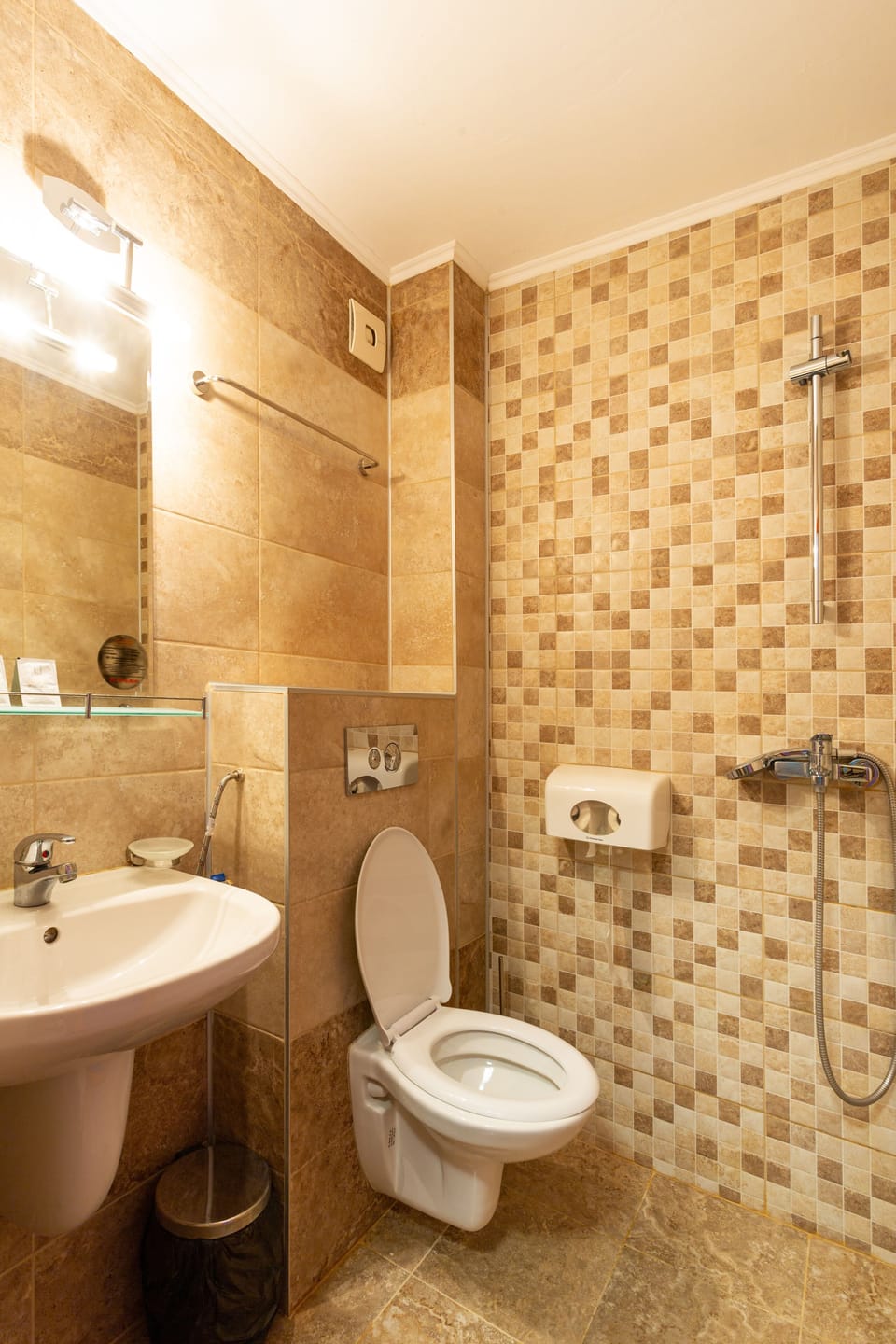 Standard Double Room (with extra bed) | Bathroom | Shower, free toiletries, hair dryer, towels