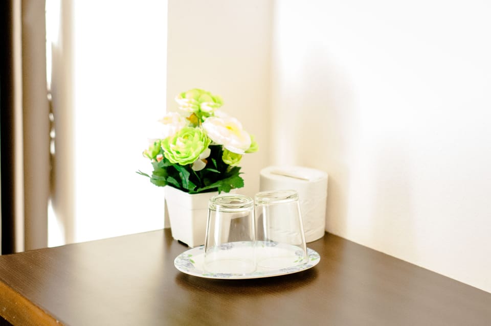 Standard Double Room | Room amenity