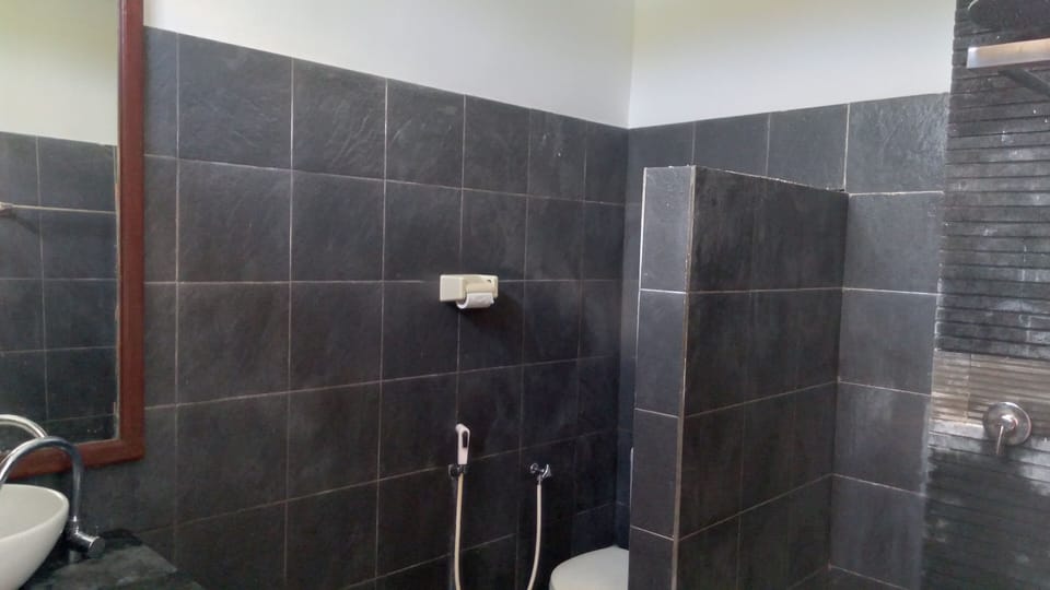 Deluxe Double Room | Bathroom | Shower, rainfall showerhead, free toiletries, bidet