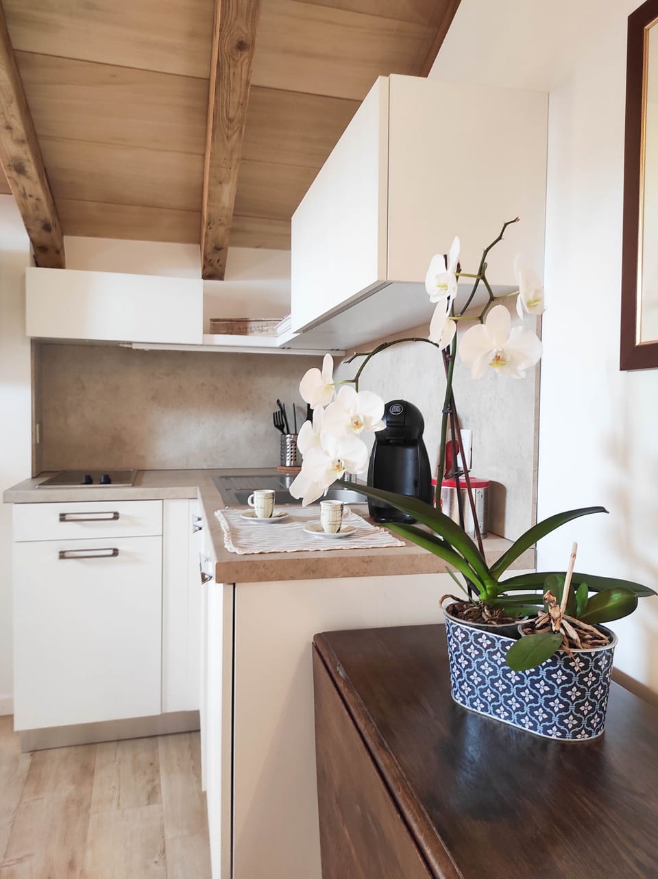Luxury Apartment, Non Smoking, City View | Private kitchen | Espresso maker, coffee/tea maker, electric kettle, paper towels