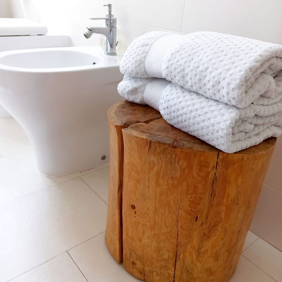 Shower, free toiletries, hair dryer, bathrobes