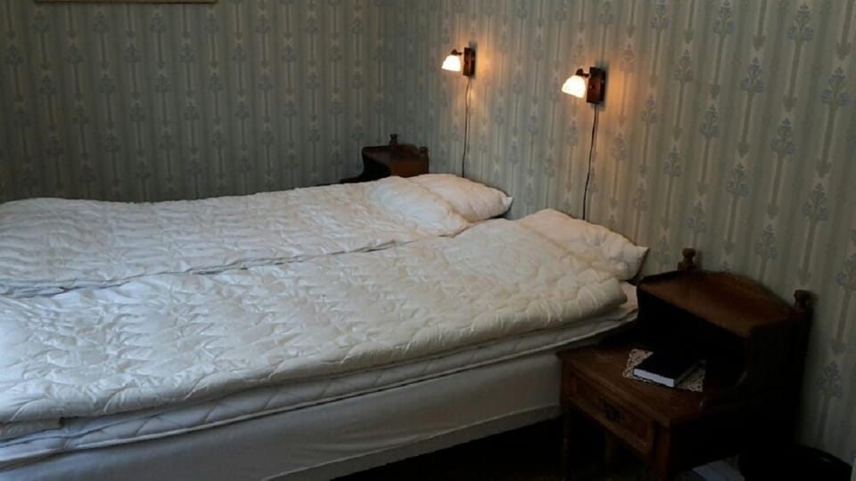 Double or Twin Room | Blackout drapes, iron/ironing board (on request), WiFi (free)