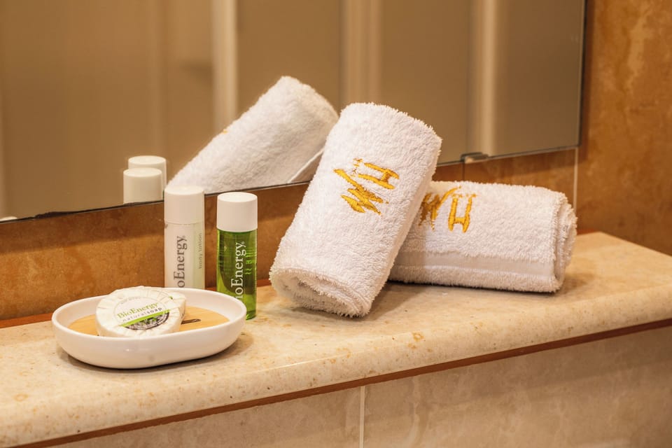 Hair dryer, bidet, towels