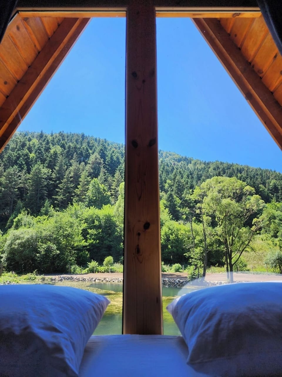 Family Tree House | Bed sheets