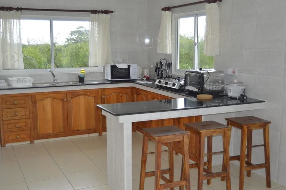 Apartment, 2 Bedrooms | Private kitchenette | Full-size fridge, microwave, stovetop, electric kettle
