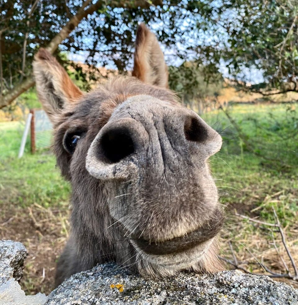 Children's activities