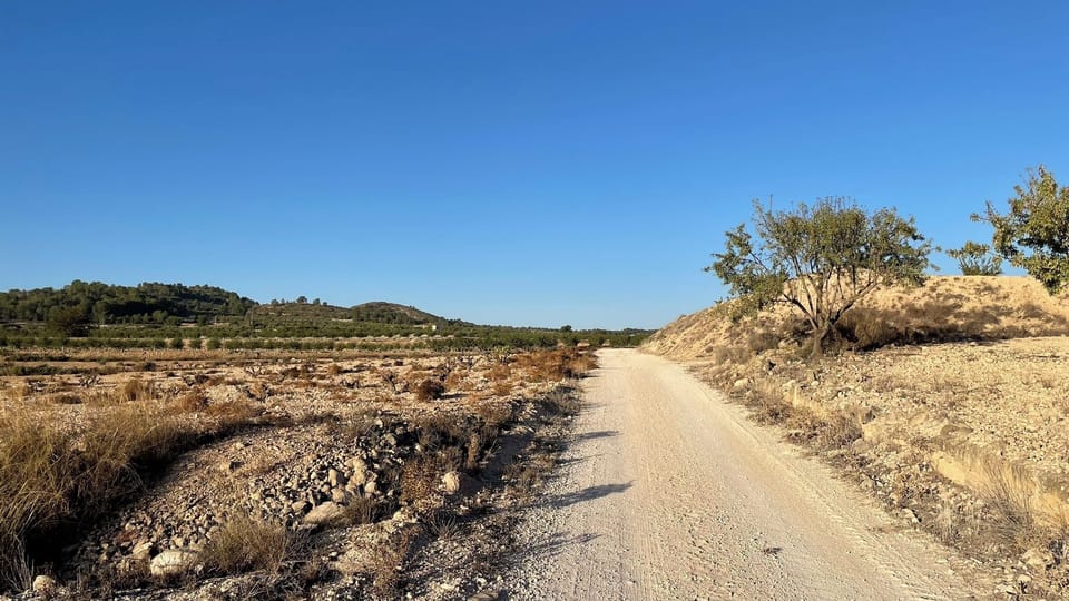 Land view from property