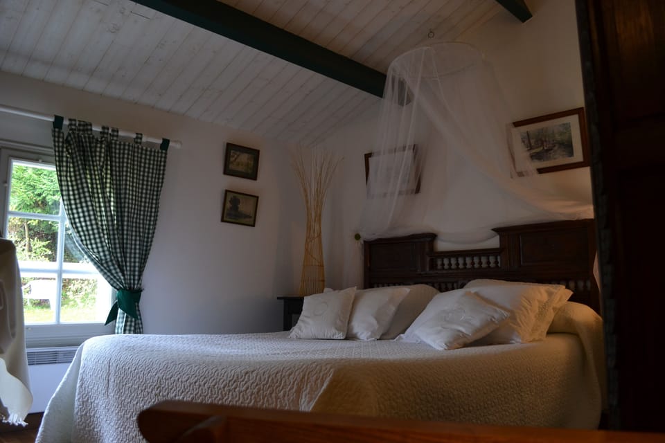 Double Room (Horizon) | Individually decorated, individually furnished, desk, blackout drapes