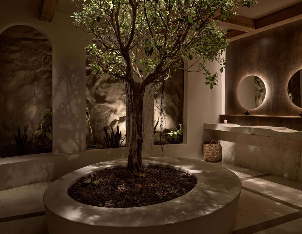 Combined shower/tub, free toiletries, hair dryer, towels